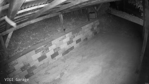 2339-20260424210706-15.jpg