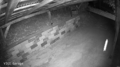 2341-20260424211206-08.jpg