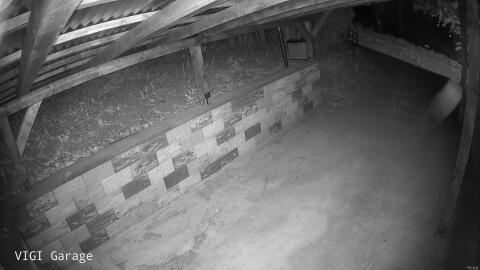 2342-20260424211634-17.jpg