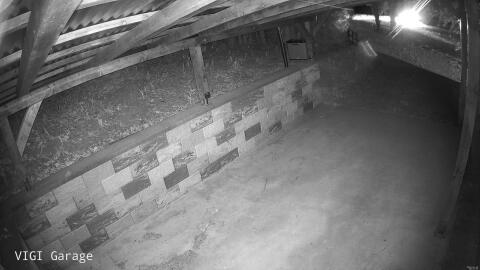 2393-20260425002744-11.jpg