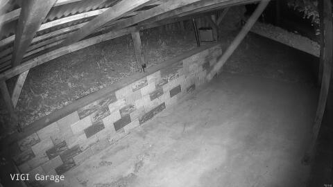 2407-20260425011756-11.jpg