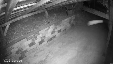 2417-20260425021144-16.jpg