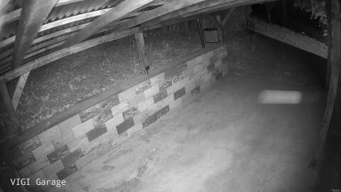 2431-20260425030723-36.jpg