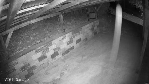 2442-20260425040534-05.jpg