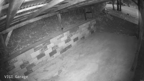 2455-20260425052430-12.jpg