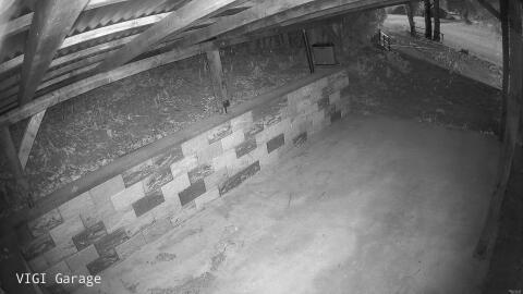 2455-20260425052433-25.jpg