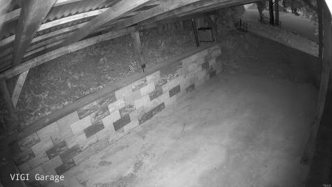 2497-20260425203322-41.jpg