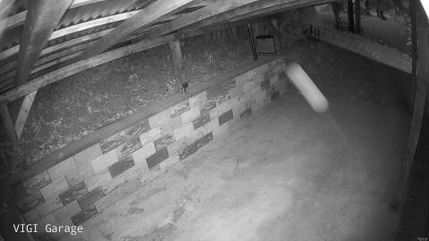 2499-20260425203727-06.jpg