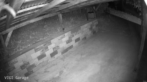 2513-20260425212221-18.jpg