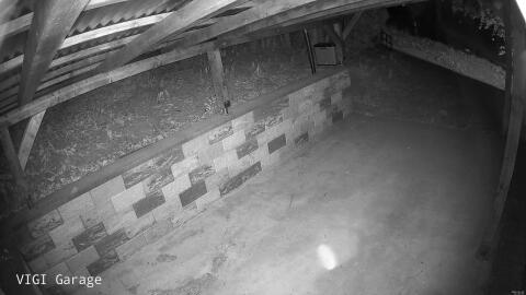 2513-20260425212243-22.jpg