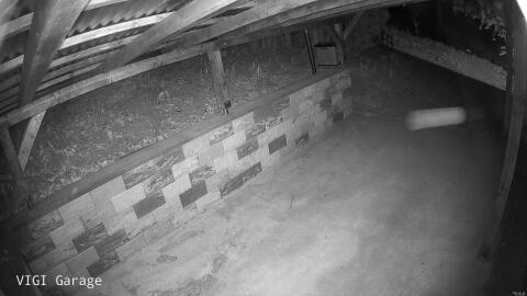 2528-20260425215803-25.jpg