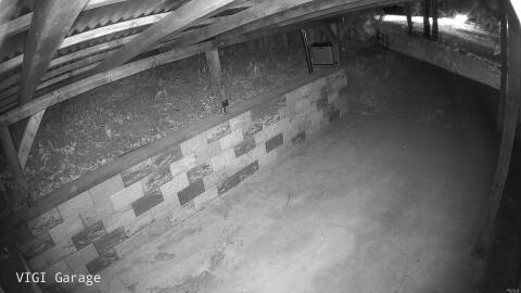 2546-20260425224945-22.jpg