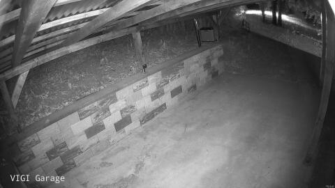 2546-20260425224949-23.jpg