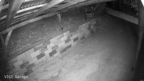 2571-20260426000321-10.jpg