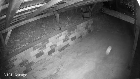 2598-20260426014147-17.jpg