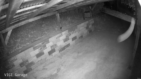 2602-20260426015321-14.jpg