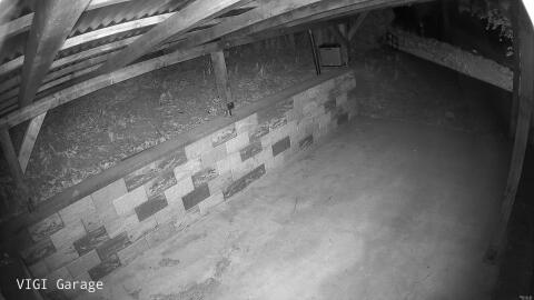 2603-20260426015503-14.jpg