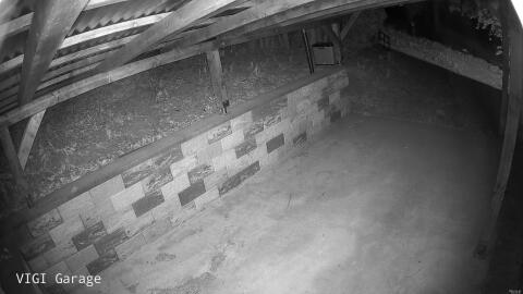 2633-20260426032951-21.jpg