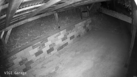 2638-20260426034633-13.jpg