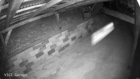 2644-20260426041534-48.jpg