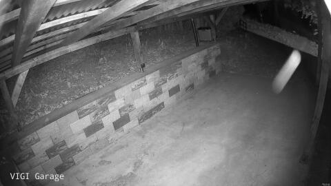 2647-20260426042759-09.jpg