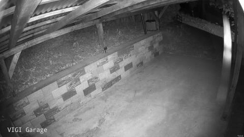 2648-20260426043949-16.jpg
