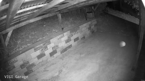 2711-20260426231956-00.jpg