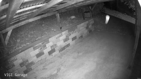 2717-20260426235739-36.jpg