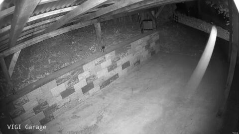 2753-20260427020300-00.jpg