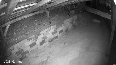 2771-20260427025430-00.jpg