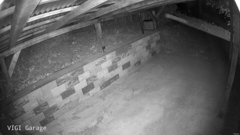 2774-20260427030443-51.jpg