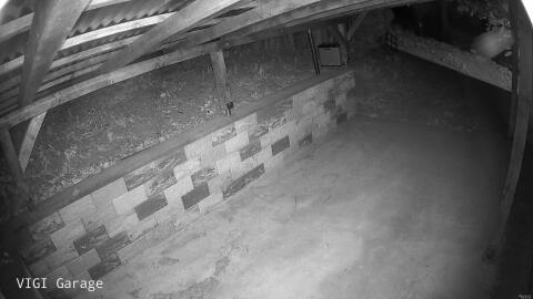 2798-20260427043339-34.jpg