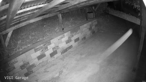 2803-20260427044943-33.jpg
