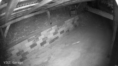 2806-20260427050301-06.jpg