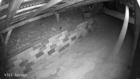2874-20260427212826-00.jpg