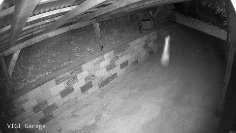 2886-20260427221137-34.jpg