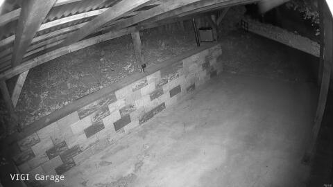 2944-20260428021731-32.jpg