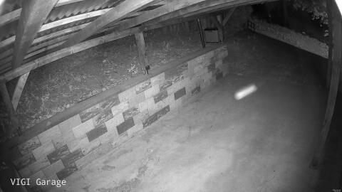 2978-20260428042531-08.jpg