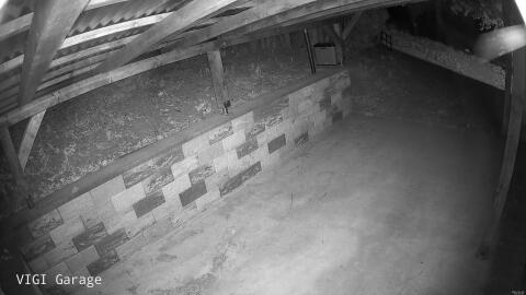 2981-20260428043423-26.jpg