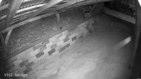 2983-20260428044255-16.jpg