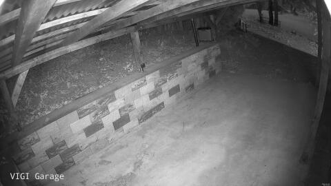 2992-20260428051823-20.jpg