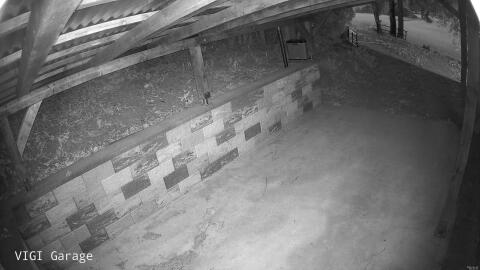 2994-20260428052243-17.jpg