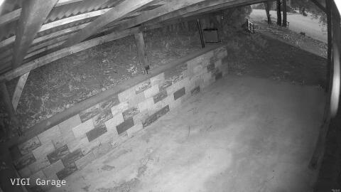 2996-20260428052543-25.jpg