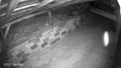 3033-20260428225112-39.jpg