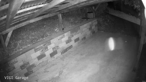 3033-20260428233348-35.jpg