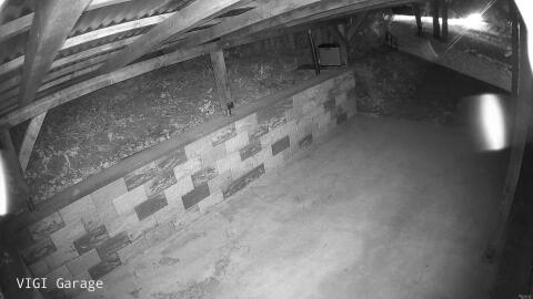 3033-20260429025148-36.jpg
