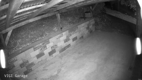 3033-20260429044012-37.jpg