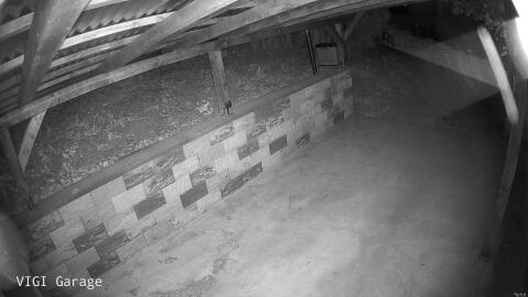 344-20260502004148-47.jpg