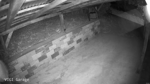 366-20260502015705-43.jpg