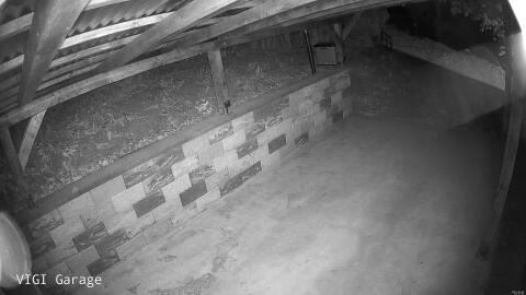 387-20260502034925-42.jpg